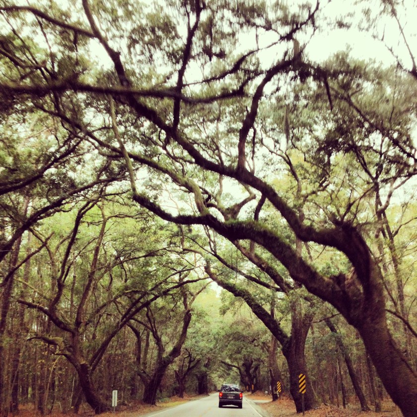 Photo Dec 26, 12 18 15 PM